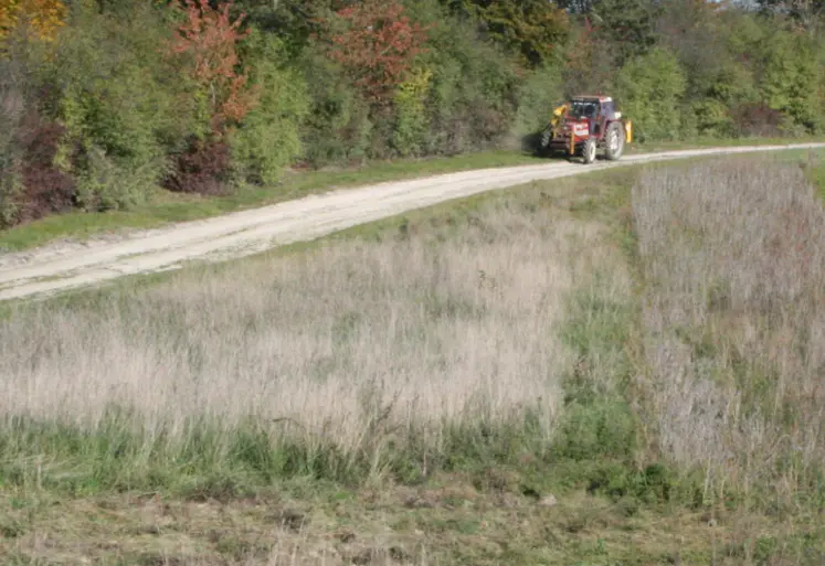 Jachère en bord de champ avec un tracteur en arrière plan