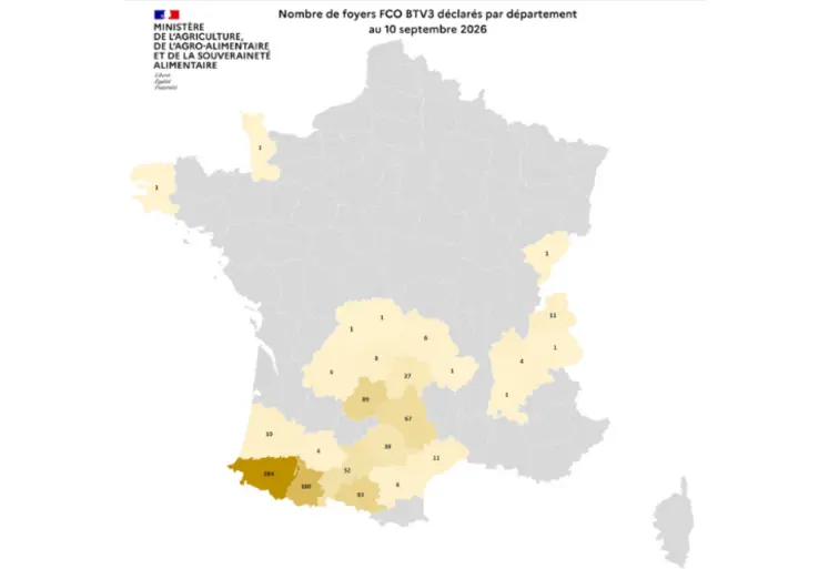 Carte de France des cas de FCO 3 entre début juin et le 10 septembre 2026.  