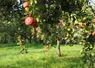 soutien agricole appel à projets val d'oise appels à projet