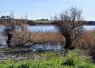 Etang au milieu d'un paysage agricole