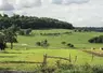 Prairies dans les Vosges