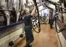 femme agricultrice dans une salle de traite