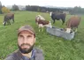 Un éleveur avec quatre vaches dans un pré