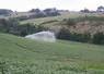 irrigation dans un champ vallonné