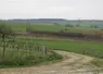 Parcelles agricoles de chaque côté d'un chemin rural.