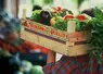 homme portant sur l'épaule une cagette de légumes.