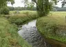 rivière bordant des champs avec des arbres