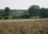 Terres agricoles avec au fond une maison