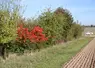 Bande enherbée avec une diversité d'essence le long d'une parcelle agricole. 