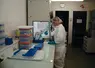 Personne réalisant un test rapide de détection de l'ESB en laboratoire