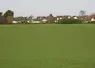 Parcelle agricole cultivée sur fond de lotissement  