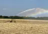 En période de sécheresse irrigation pour favoriser la levée du maïs