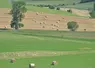 paysage avec champ et bottes de foins