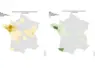 Cartes de France présentant le nombre de foyers de FCO 3 et de FCO 8 par département entre le 1er juin et le 24 juillet 2025. 