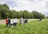 Jeunes marchant dans un pré