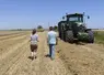    Deux agriculteurs de dos dans un champ pendant la récolte      