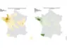 Cartes de France présentant le nombre de foyers de FCO 3 et de FCO 8 par département entre le 1er juin et le 31 juillet 2025. 