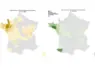 Cartes de France présentant le nombre de foyers de FCO 3 et de FCO 8 par département entre le 1er juin et le 7 août 2025. 