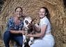 Deux jeunes étudiantes avec un veau devant accroupies devant une botte de paille