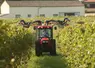 Une agricultrice dans son tracteur traite des pieds de vignes grâce à des pulvérisateurs. 