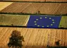 parcelles dans un champ avec drapeau européen au centre