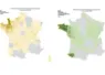 Carte des foyers de FCO 3 et FCO 8 recensés depuis le 1er juin 2025 jusqu'au 25 septembre 2025