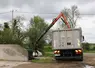Ramassage d’un cadavre de vache dans un coin de ferme par le camion d’équarrissage 