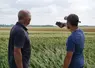 Deux agriculteurs devant une parcelle, l'un utilisant son téléphone pour la gestion de son exploitation. 