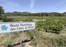 vignes avec au premier plan un panneau touristique