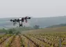 drone traitant un champ de vigne