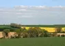 Paysage agricole au printemps avec des bocages, des haies, du colza en fleurs, et de l'orge en culture.