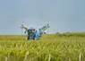 Traitement phytosanitaire par pulvérisation dans les vignes avec un tracteur en Gironde.  