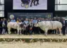 deux vaches lauréates au concours général agricole 2026