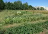Jardins et potagers familiaux collectifs avec maraichage dans le quartier Saint-Paul à Caen.