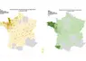 Cartes des foyers de FC03 et FCO8 depuis le 1er juin 2025