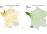 Cartes des foyers de FC03 et FCO8 depuis le 1er juin 2025