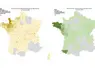 Cartes des foyers de FC03 et FCO8 depuis le 1er juin 2025