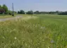 Bande fleurie en bordure de route et de champ