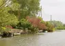 cours d'eau et bateaux ammarés à la berge 