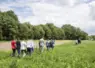 jeunes marchant dans un champ