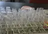 Tubes pour la création variétale dans un laboratoire de biotechnologie végétale. 