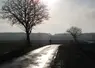 Agriculteur marchant seul sur une route dans la campagne entre les champs