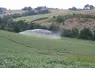champ irrigué