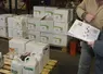 Exploitant agricole et distributeur échangeant prenant livraison d’une commande de produits phytosanitaires. 