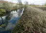Cours d' eau, rivière et bande herbeuse près d' un champ de culture agricole en automne.