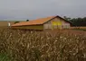 bâtimentr dans un champ de maïs