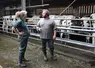 Femme enceinte sur une exploitation agricole en congés de maternité qui nécessite un service de remplacement.