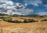 Paysage agricole en période de sécheresse