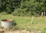 Bac de distribution d'eau dans une pâture pour l'abreuvement des bovins. 