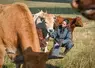 Pauline Garcia, comportementaliste animalière et éleveuse, au milieu de son troupeau de Salers et d’Aubrac dans le Cantal.